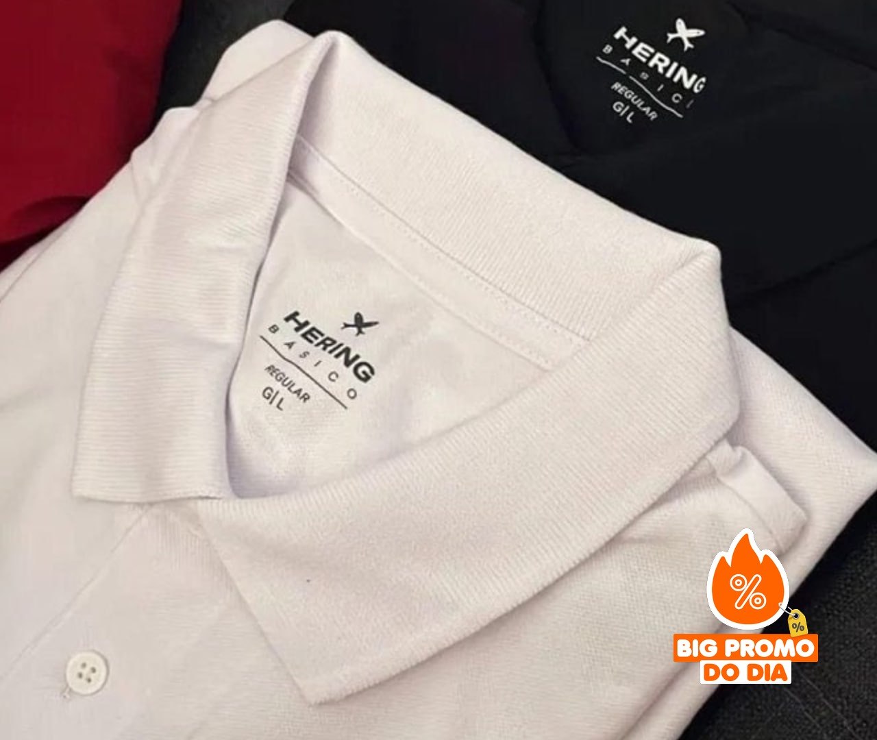 Kit 2 Camisas Polo Básicas Masculinas Hering