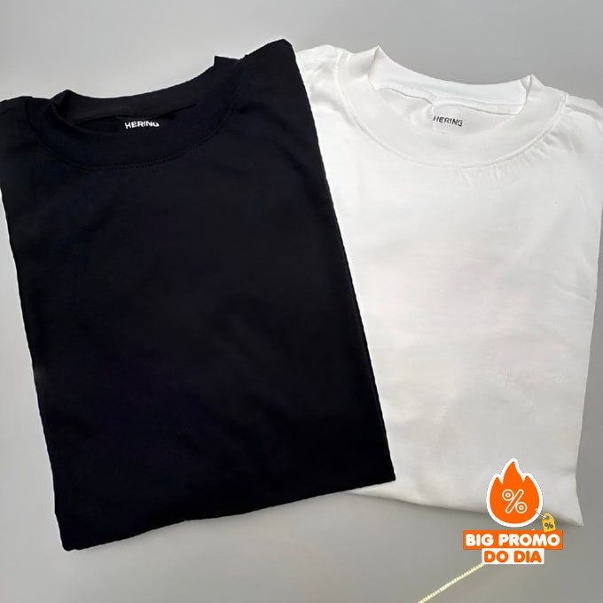Kit com 2 Camisetas Básicas Relaxed Hering