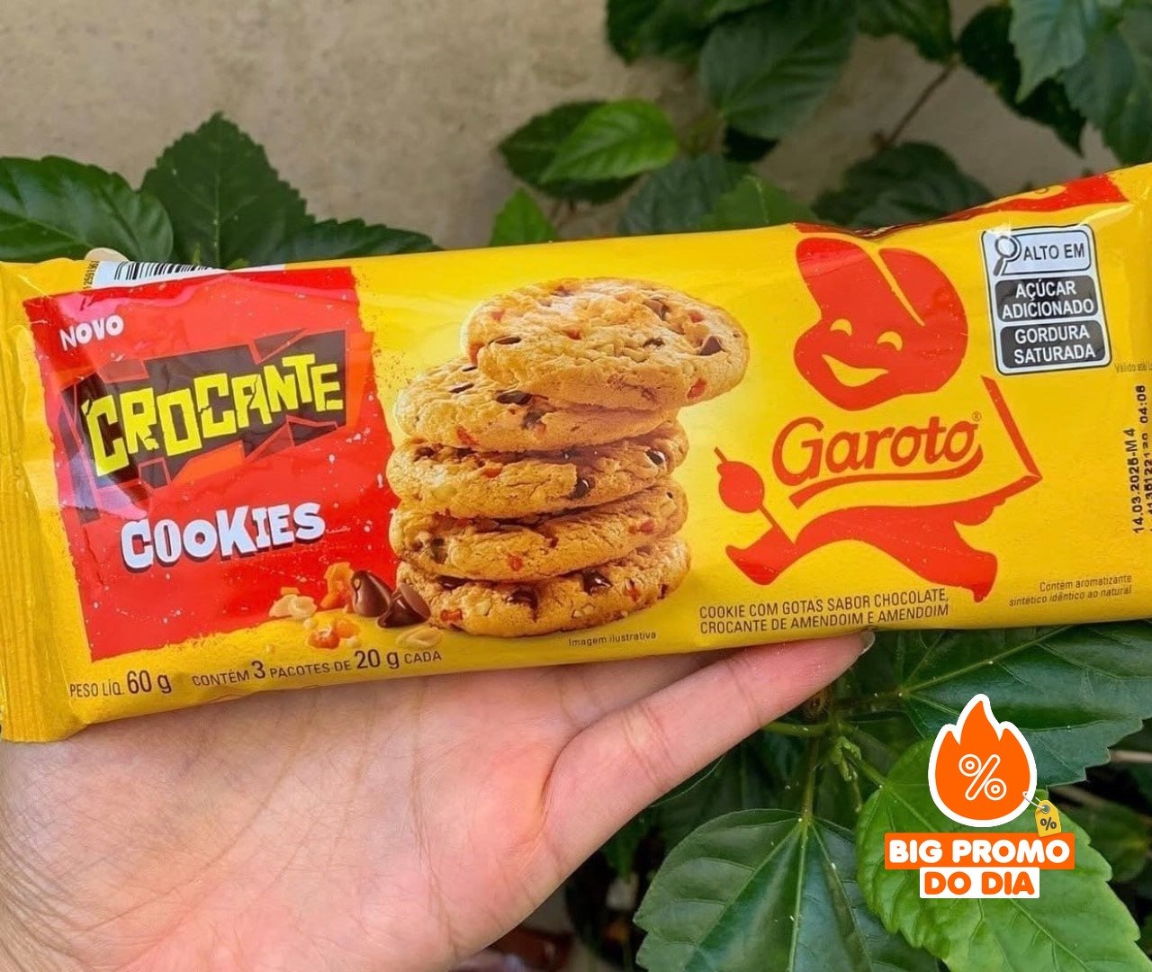 Cookie Crocante Garoto 60g