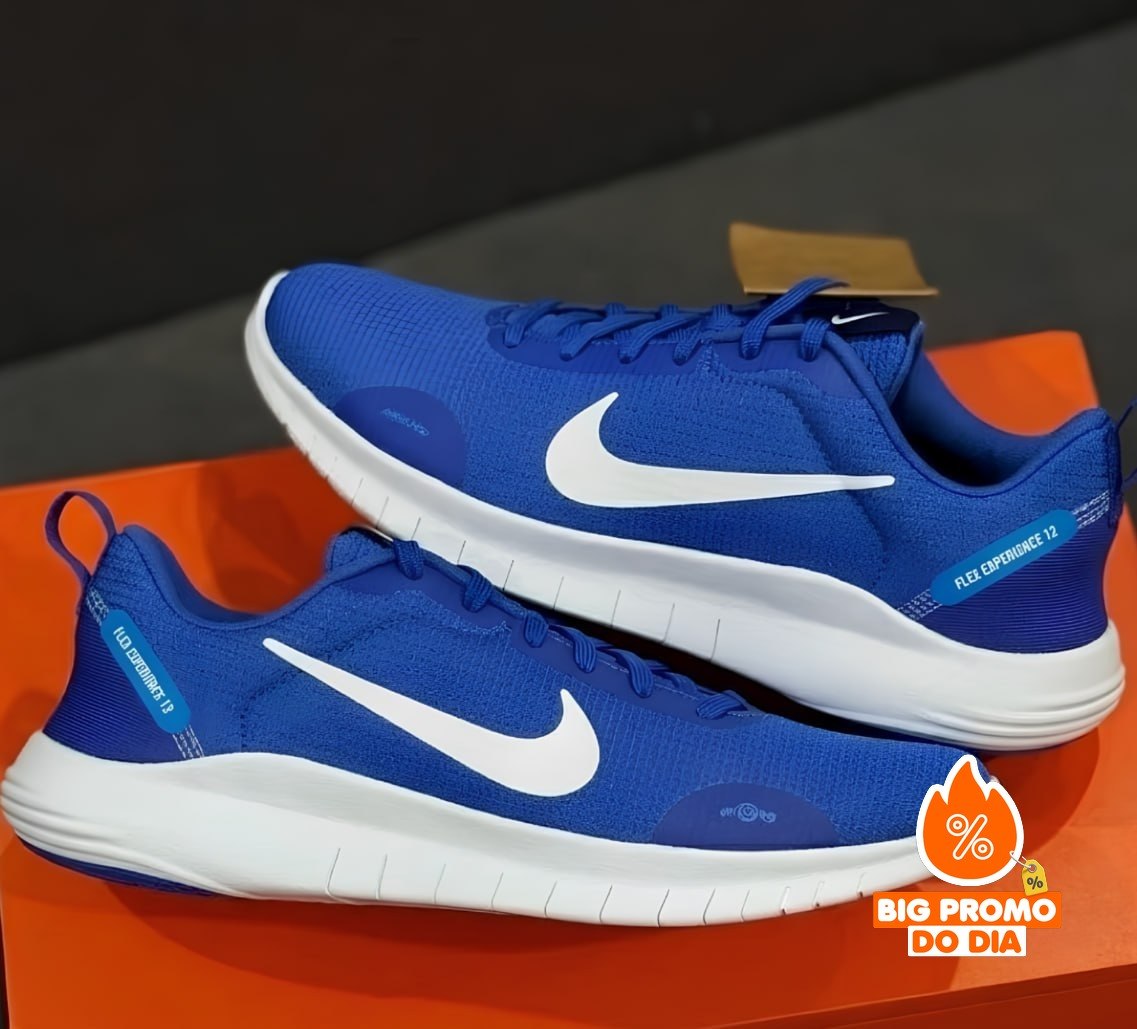 Tênis Nike Flex Experience Run 12 (2 Cores)