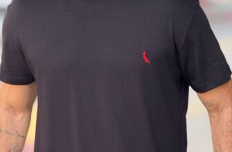 BÁSICA DE QUALIDADE ✅ Kit 2 Camisetas Brasa Pica Pau…