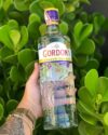 PRA TU MANDAR OS DRINKS 🍹 Gin Gordon’s London Dry…