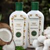 SEU CABELITCHO MERECEE 🧴 Phytoervas Kit Shampoo E Condicionador 250Ml…