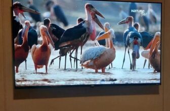 50TONA PRA CHAMAR DE SUA Smart TV 50″ AOC 4K DLED POR 1.459,92 no Pix Aplique o …