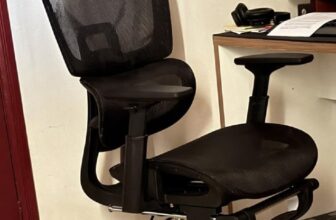 SALVA ESSA COLUNA ENQUANTO TEM TEMPO Cadeira de Escritório Ergonômica Ajustável …