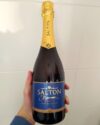AQUELE ESPUMANTEZIN PRA OCASIÕES ESPECIAIS Salton Espumante Brut 750ml DE 38 | P…