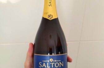 AQUELE ESPUMANTEZIN PRA OCASIÕES ESPECIAIS Salton Espumante Brut 750ml DE 38 | P…