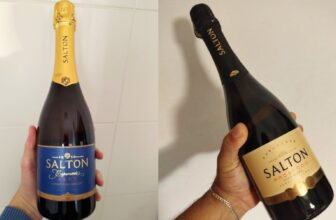 AQUELE ESPUMANTEZIN PRA OCASIÕES ESPECIAIS Salton Espumante 750mlBrut DE 38 | PO…