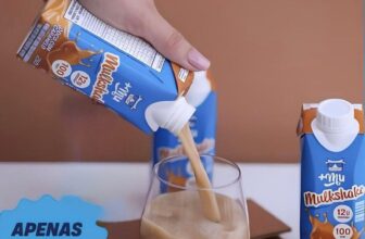 LEITINHO PROTEICO 12 Unid. +Mu Mulkshake Bebida Proteica Sabor Coco com Caramelo…