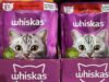 Pack Ração Úmida Whiskas Sachê Carne ao Molho para Gatos Adultos – 20 unidades …