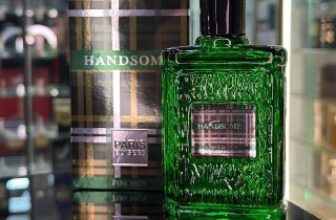 💨 Paris Elysees Handsome 100ML EDT 100ml 🔥 DE 117,07…