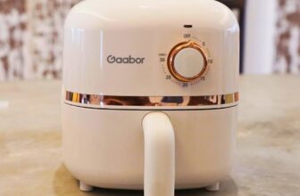 CHARMOSINHA PRO TEU STUDIO GARBOZO NA CAPITAL Mini Air Fryer Fritadeira Elétrica…