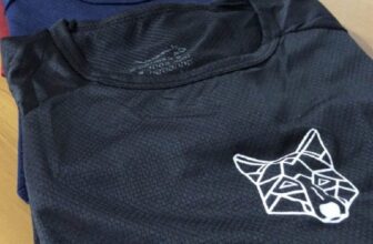 TREINO DA SEMANA JÁ TA QUASE GARANTIDO  Kit 4 Camisetas Masculinas Dry Lobo Alph…