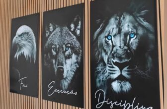 MOTIVE-SE Quadros Decorativos Leão Águia 3 Pçs DE 59 | POR 36 https://mercadoliv…