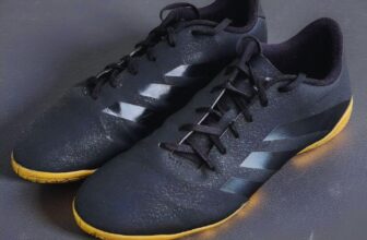 PITBULL TÁ NA PISTA treinado, doutrinado, vacinado e capacitado  Chuteira De Fut…