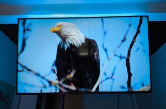 TV TOP PRA VOVÓ ASSISTIR Smart TV Ambilight 55″ 4K PHILIPS DE 2.499 | POR 2.183 …