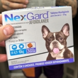 CUIDE DO SEU DOGUINHO NexGard Antipulgas e Carrapatos para Cães de 4,1 a 10kg – …