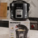 CHEGA DE QUEIMAR ARROZ Panela De Arroz Fast Rice 5 Premium Mondial 400W DE 244 |…