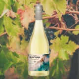 DELICINHA PARA O CALOR     Vinho Chileno Suntana Summer Moscato Branco 750mL DE …