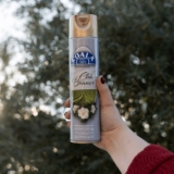 CHEIRINHO BOM DO ARRR Kit 2 Coala Aerossol – Chá Branco DE 59,80 | POR 27,90 htt…