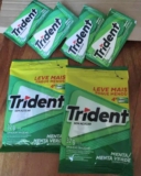 SEMPRE BOM PRA MANTER O BOM HÁLITO  Pack Goma de Mascar Menta Trident Pacote 32g…