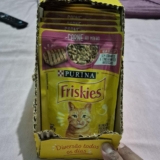 PRO TEU GATINHO FICAR CONTENTE Pack Nestlé Purina Friskies Ração Úmida P/ Gatos …