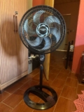 VENTANIA COM POSTURA MELHOR QUE A SUA Ventilador Coluna Mondial 220V 30cm 6 pás …