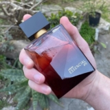 NOTAS AMADEIRADAS E ESPECIADAS, COISA FINAPerfume Essencial Ato Deo Parfum 100ml…