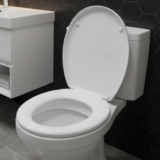 TRONINHO ACOLCHOADO  Metasul Assento Sanitário Almofadado Basico POR 36 https://…