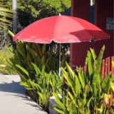 VOCÊ PODE ESTAR DE FÉRIAS, O SOL NÃO Guarda-Sol Grande 2,32m Reforçado (3 cores)…