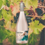 O CALOR SEMPRE PEDE       Vinho Chileno Suntana Summer Rosé Syrah 750mL DE 39,61…