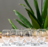 APENAS BEBA Jogo de Taças 6 Peças para Água e Suco de Vidro 250ml Nadir Paulista…