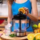 AQUELE SUQUINHO DE LARANJA… WAP Espremedor de Frutas Elétrico 1,2L 40W – 220V …